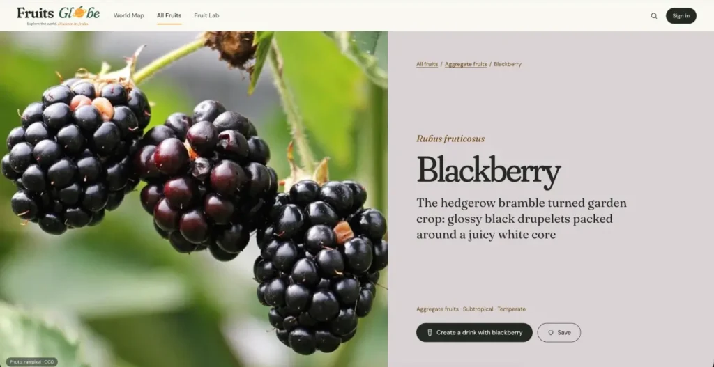 Fruits Globe blackberry guide with fruit photography, botanical name and introduction