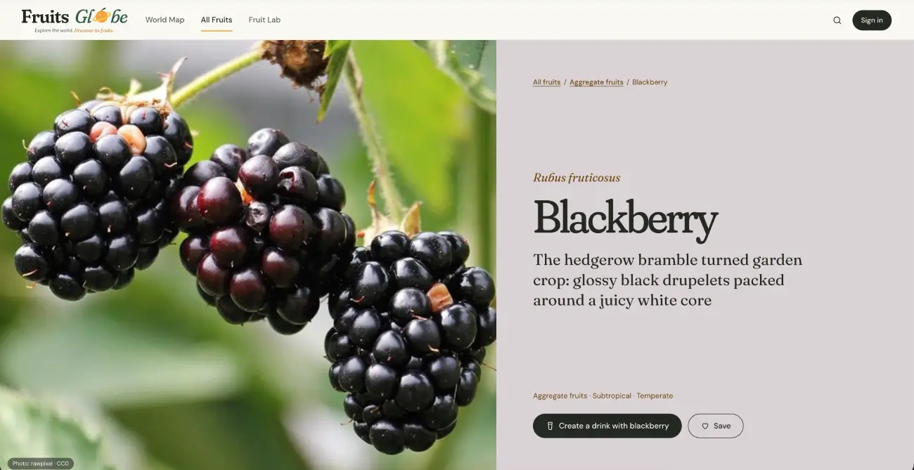Fruits Globe blackberry guide with fruit photography, botanical name and introduction
